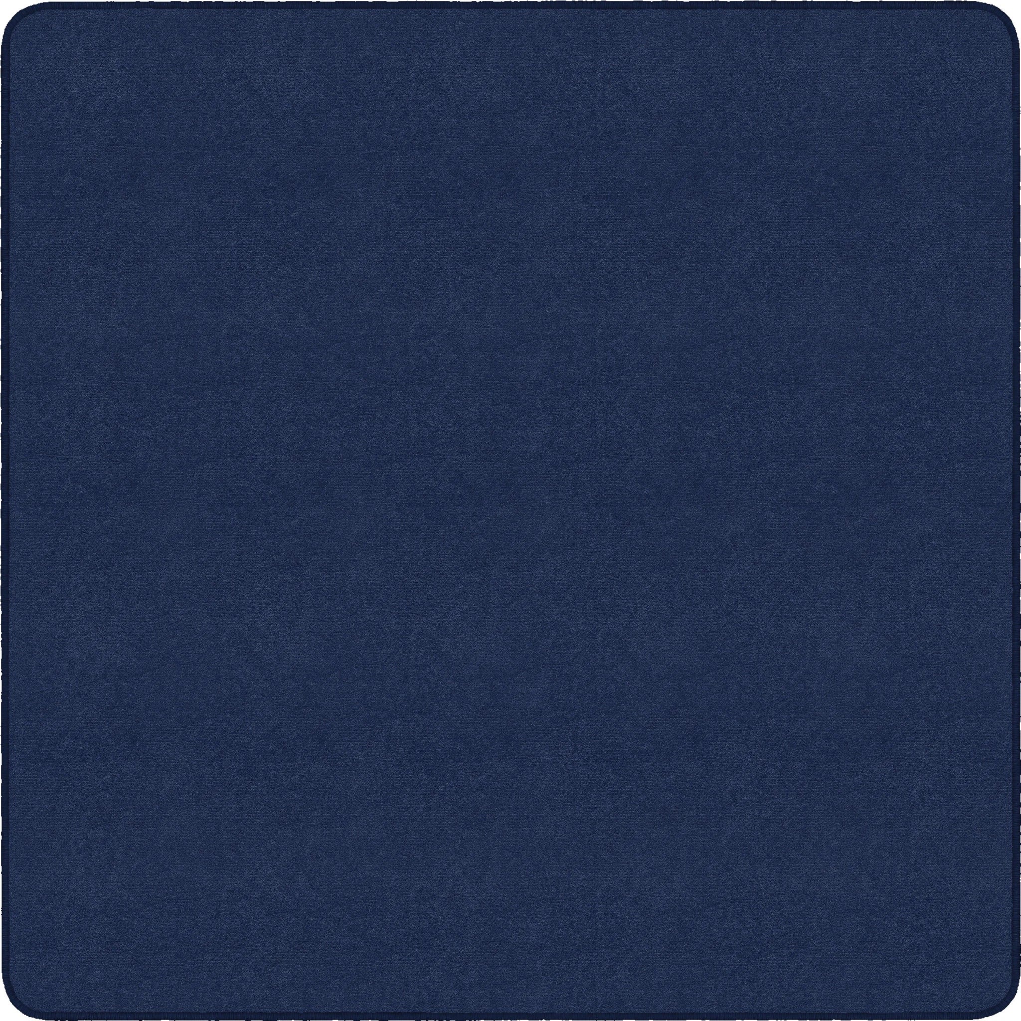 Flagship Carpets Ameristrong Navy Square Rug - Traditional 12x12 ft - Nylon Fiber - Rugs & Mats