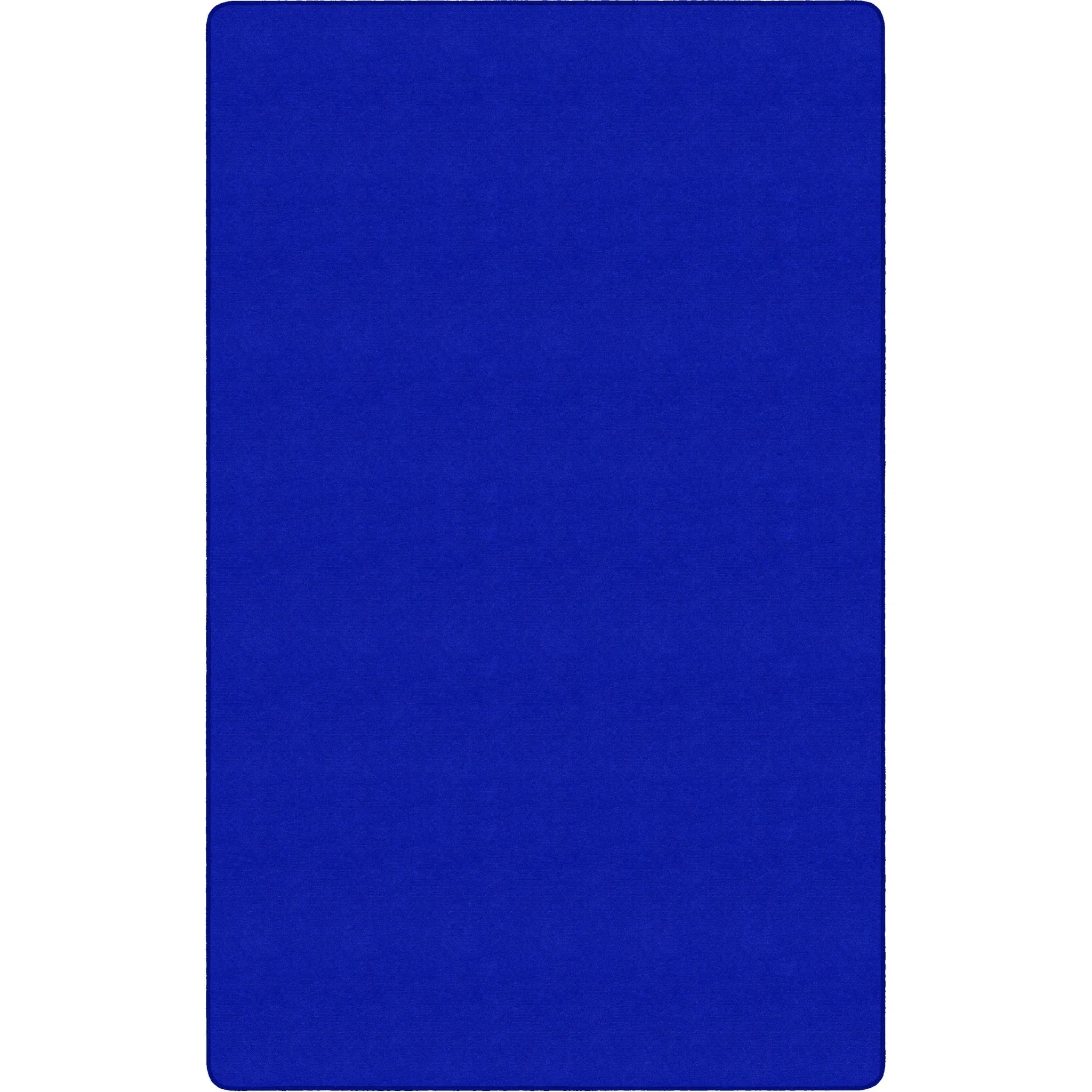 Flagship Carpets Ameristrong Royal Blue Rug - Traditional 12x18 ft Rectangle - Nylon Fiber - Rugs & Mats