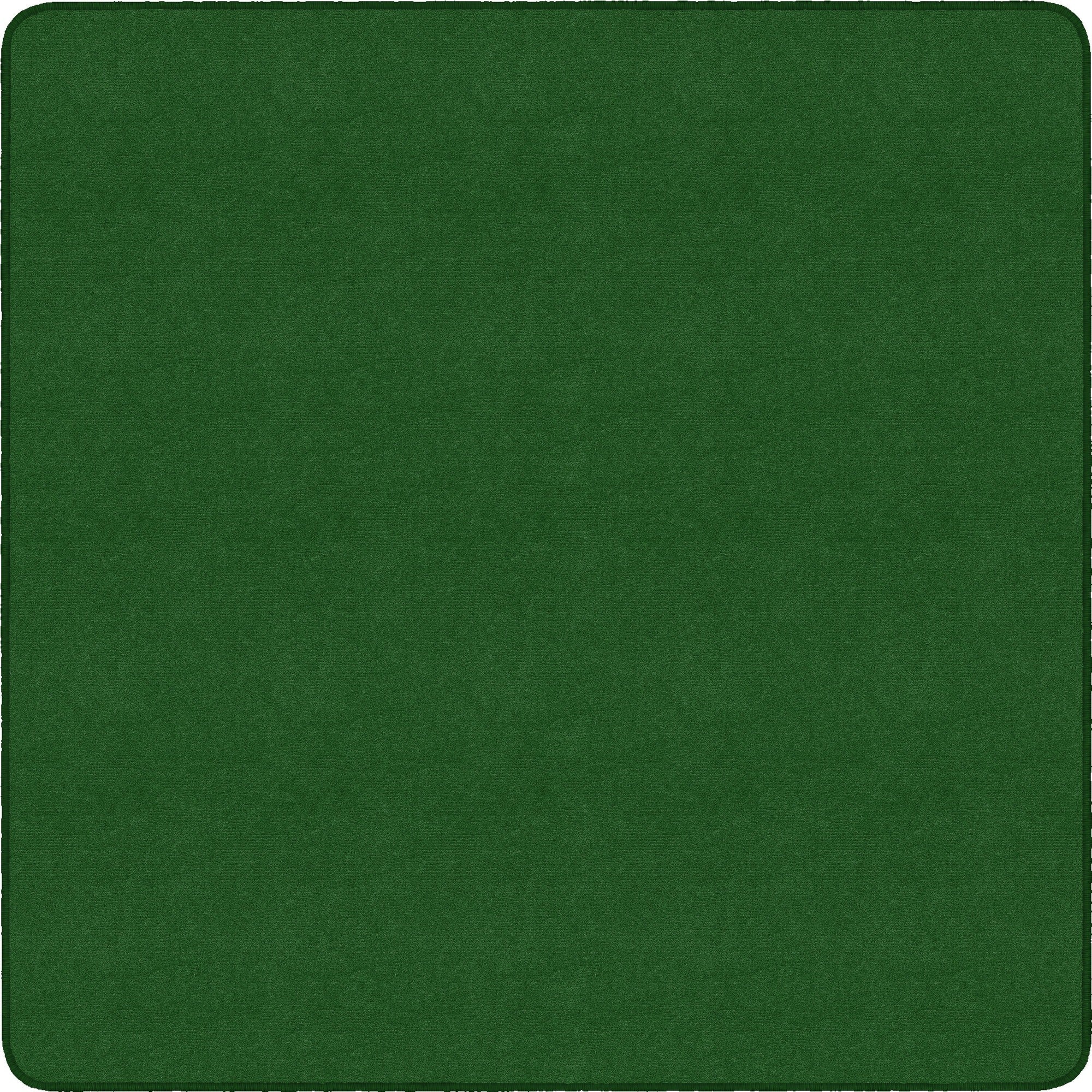 Flagship Carpets Ameristrong Solid Color Rug - 2000