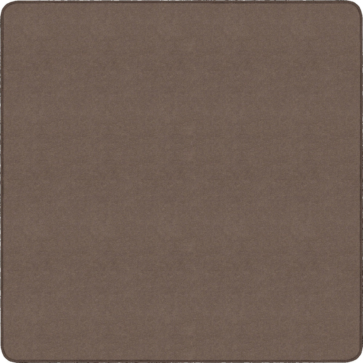 Flagship Carpets Ameristrong Solid Color Rug - 2000
