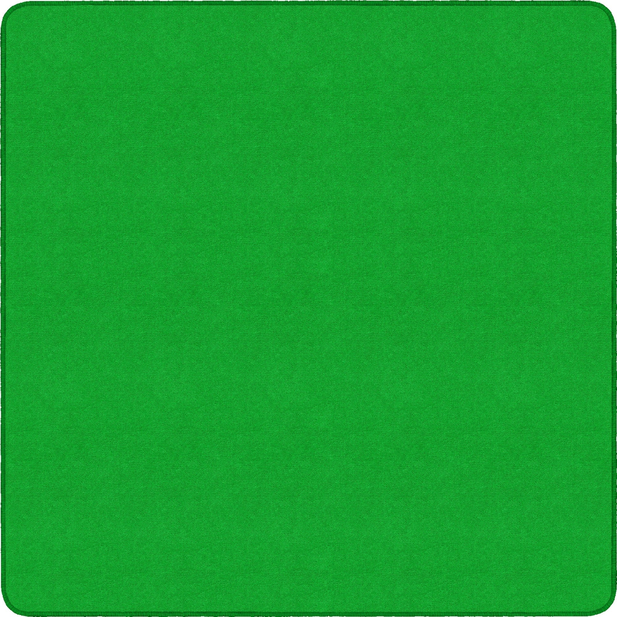 Flagship Carpets Ameristrong Solid Color Rug - 2000