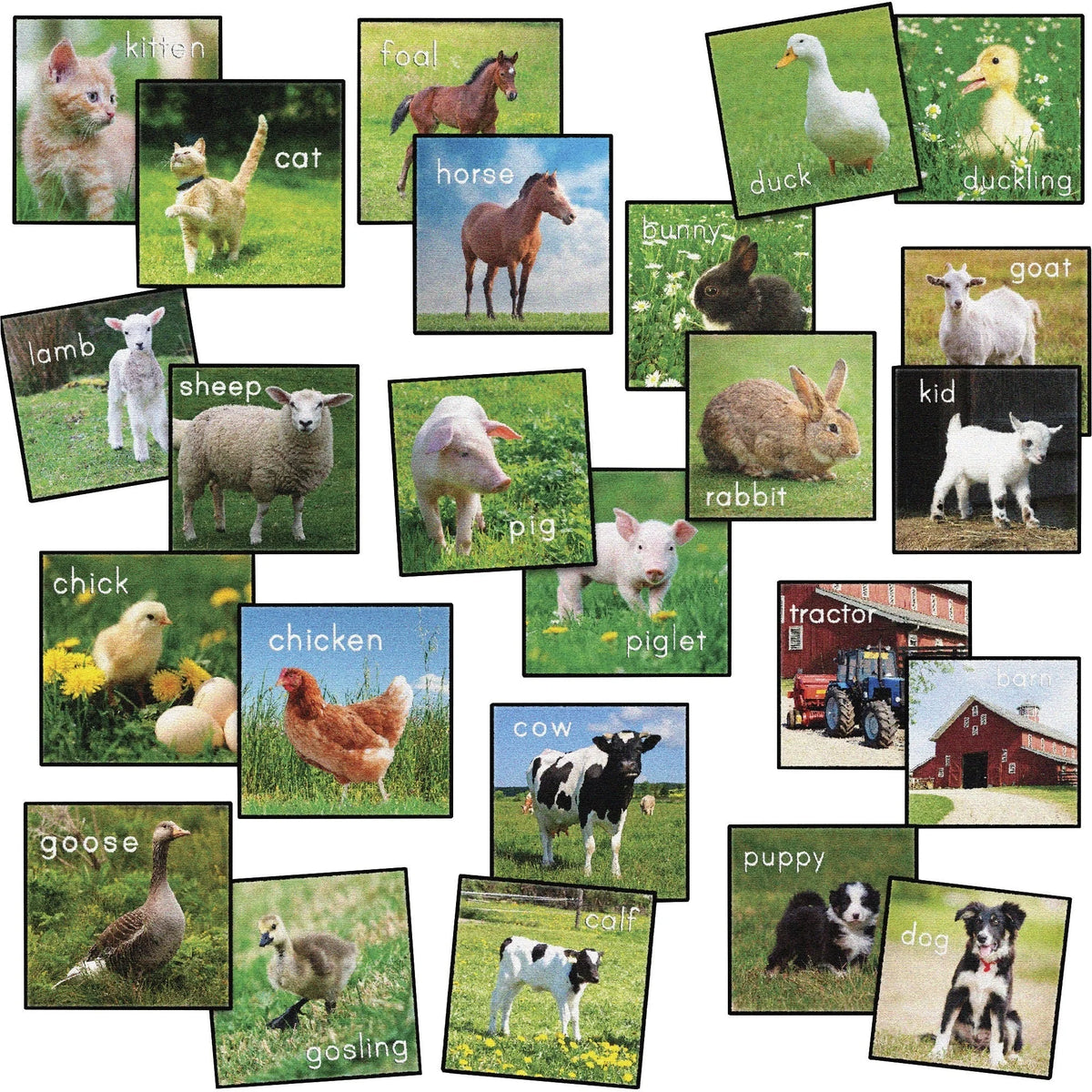 Flagship Carpets Barnyard Classroom Seat Squares - Colorful Floor Rug - Rugs & Mats