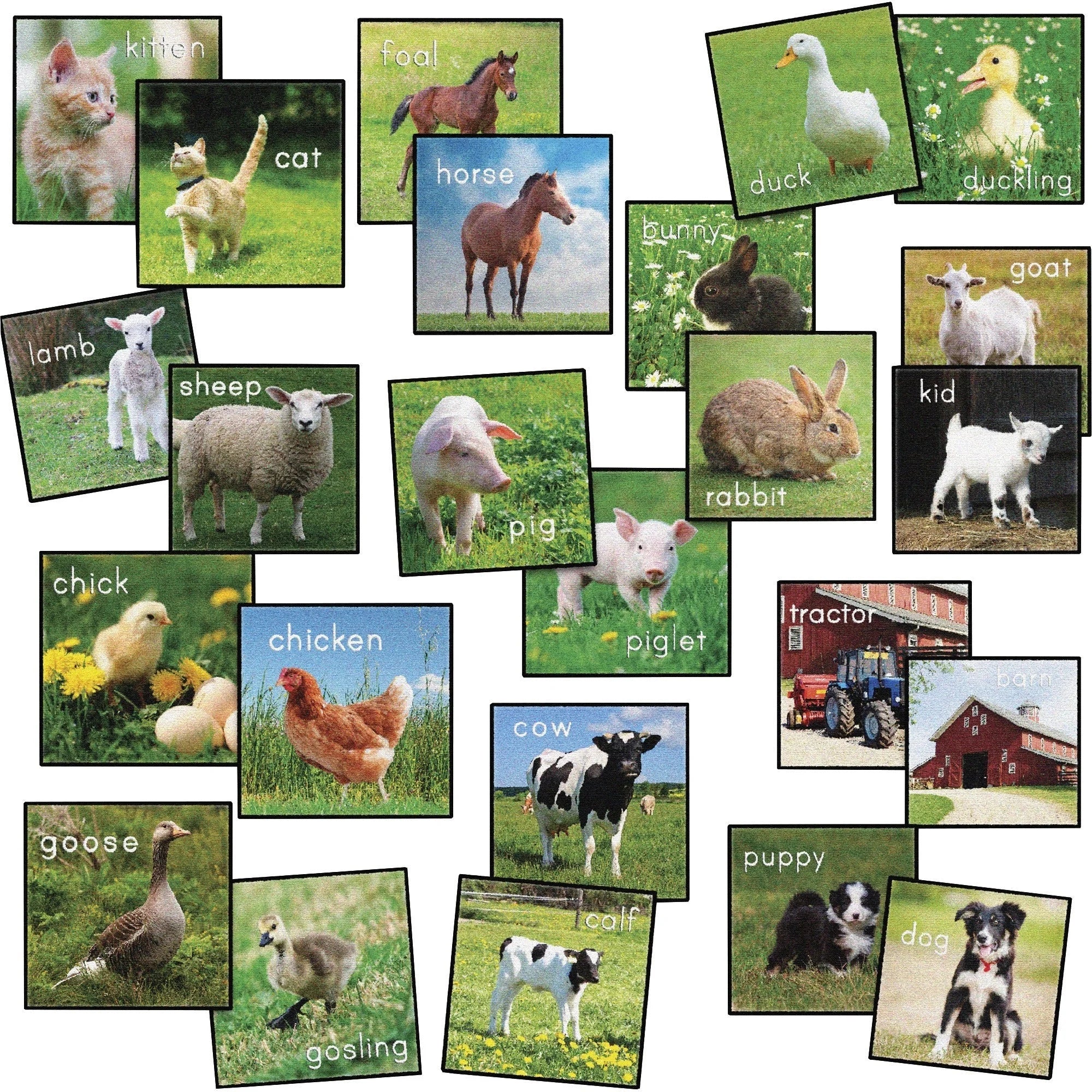 Flagship Carpets Barnyard Classroom Seat Squares - Colorful Floor Rug - Rugs & Mats