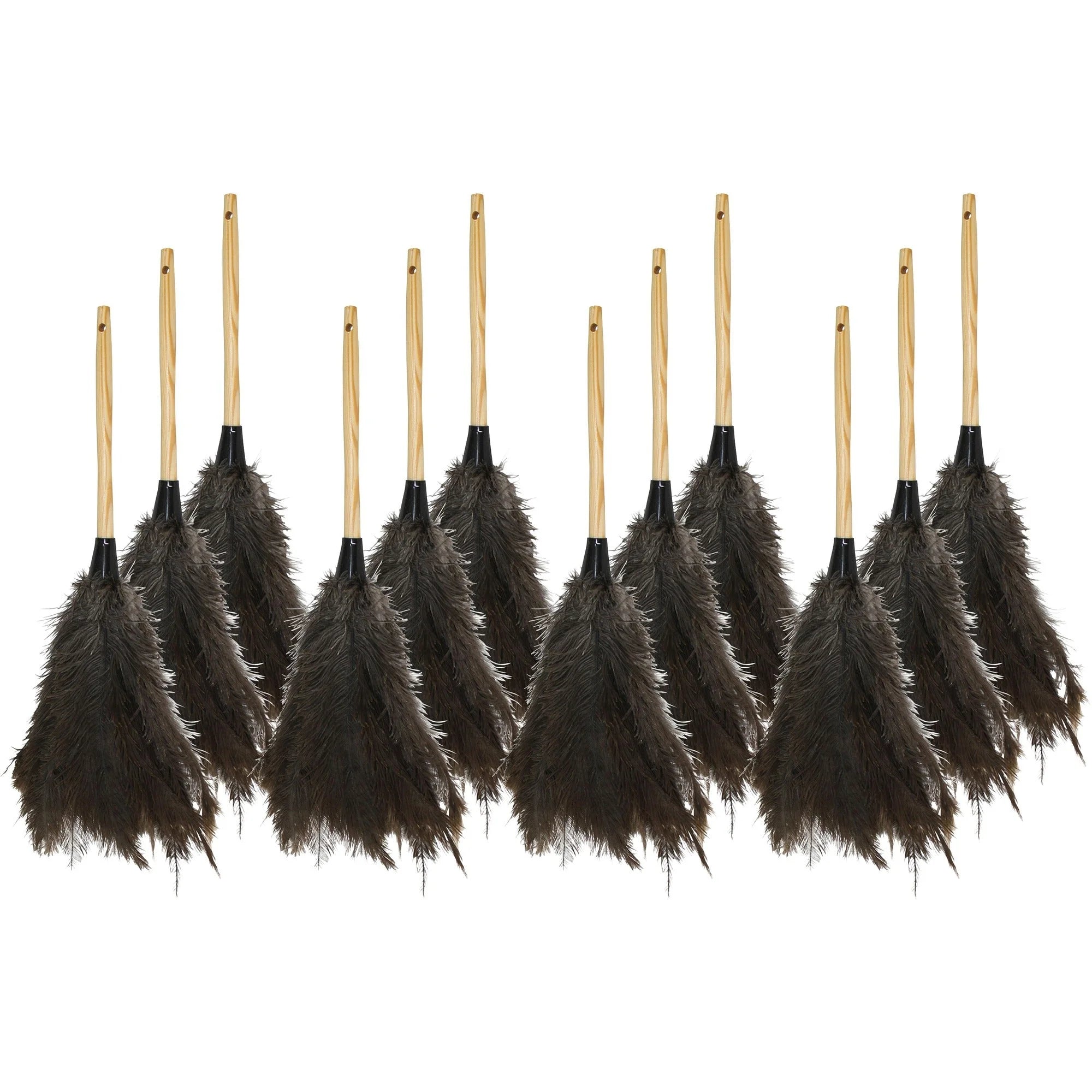 Genuine Joe Feather Duster: Brown 12/Carton - Dusters