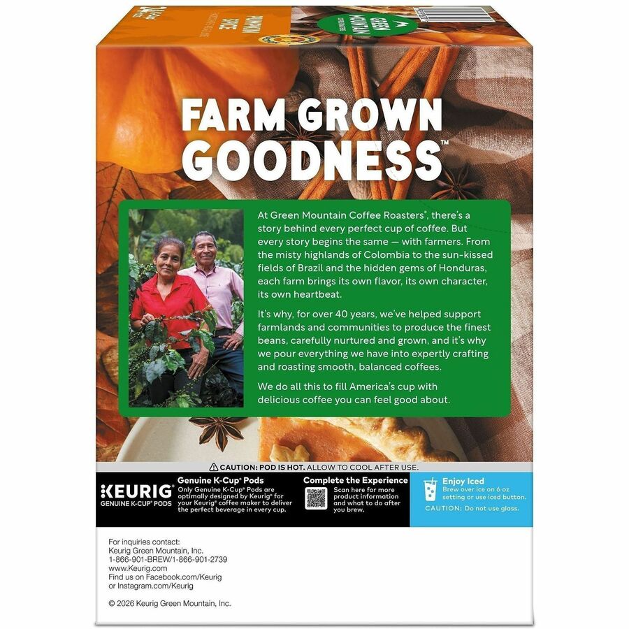 Green Mountain Coffee Roasters® K-Cup Pod Pumpkin Spice Keurig Single-Serve Pods Light Roast 24 Count