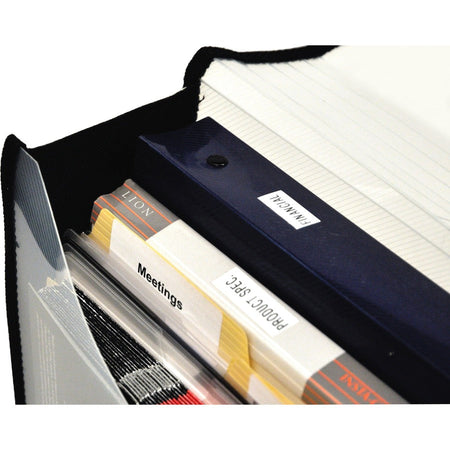 Lion EXPAND-N-FILE File Wallet - 3’’ Folder Capacity - Clear - 1 Each - Expanding Files