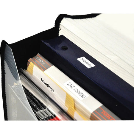 Lion EXPAND-N-FILE File Wallet: 3’’ Folder Capacity Clear - Expanding Files