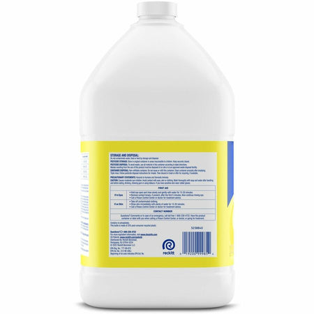 Lysol Deodorizing Cleaner - Right