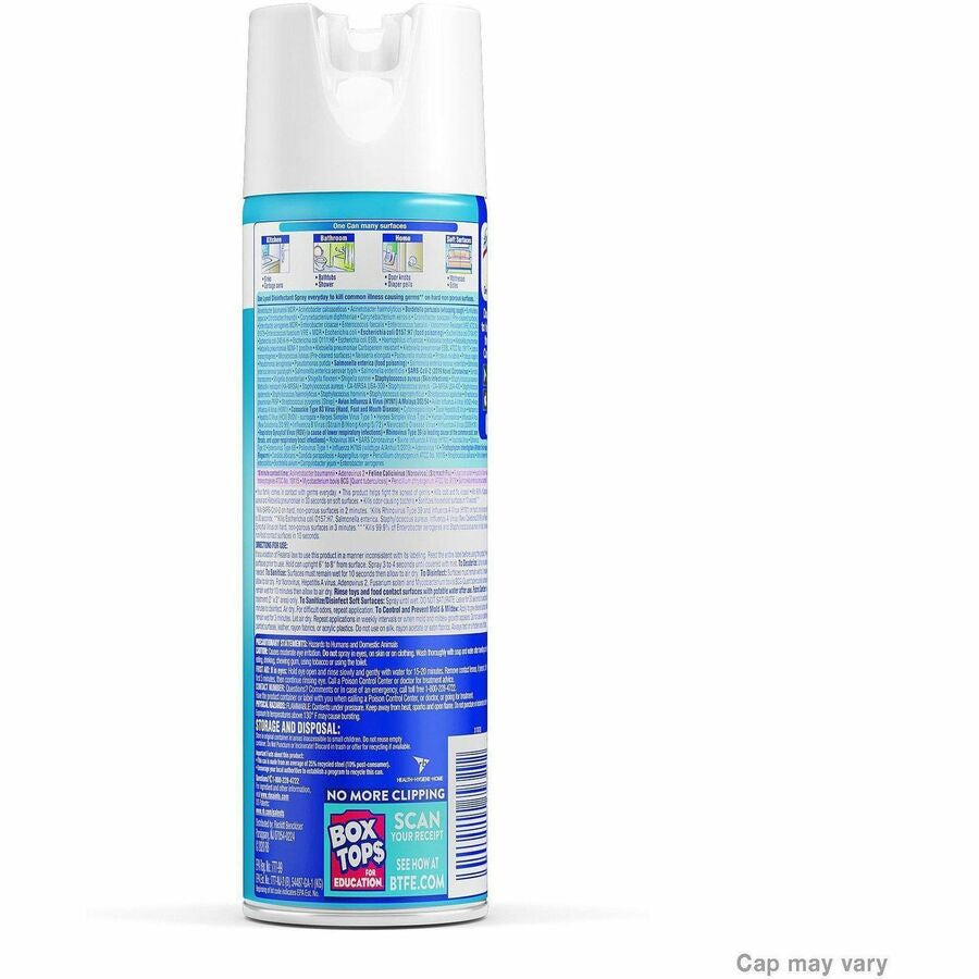 Lysol Disinfectant - Rear