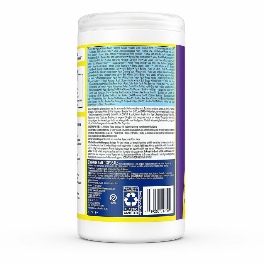 Lysol Dual Action Wipes - Rear