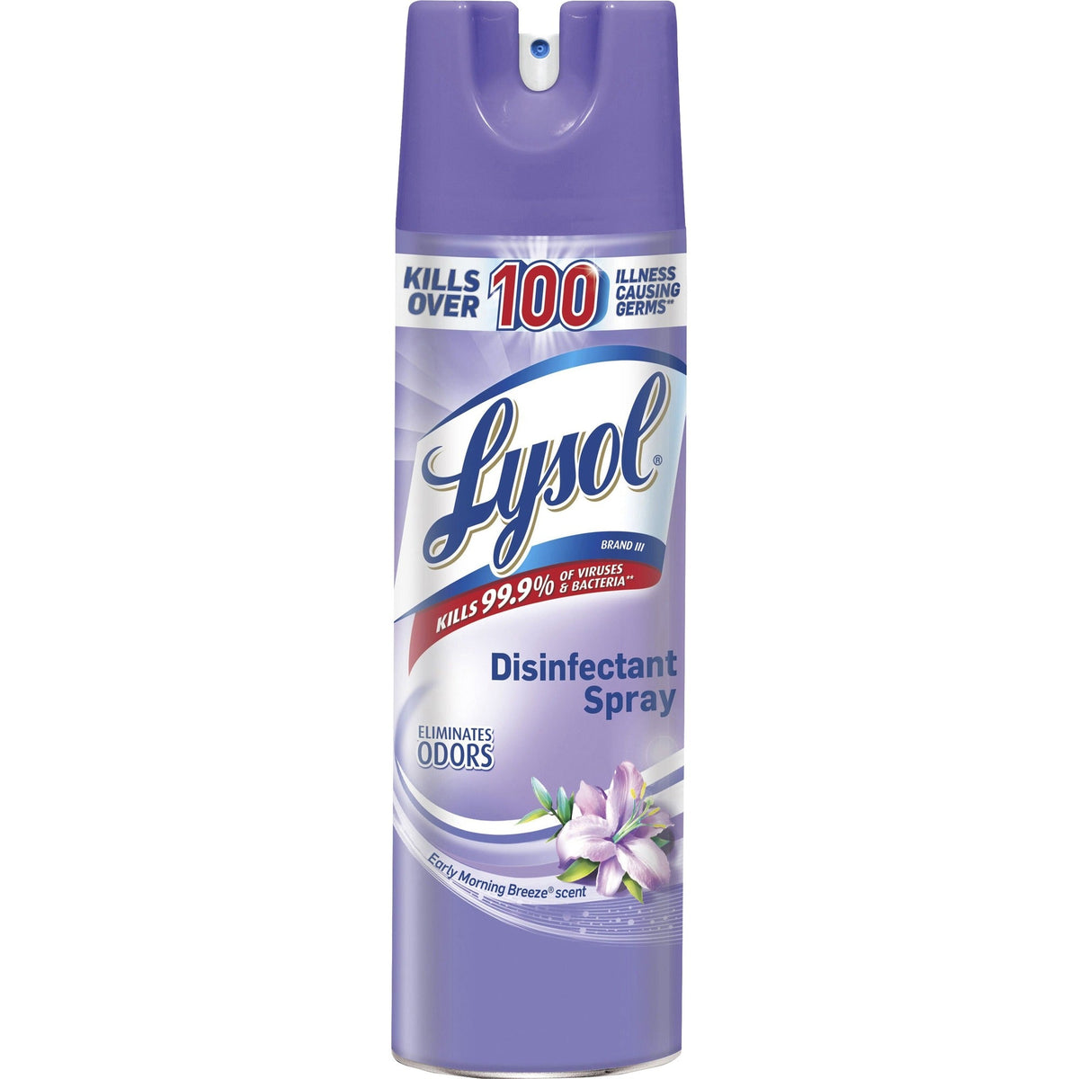 Lysol Early Morning Breeze Disinfectant Spray - 2000