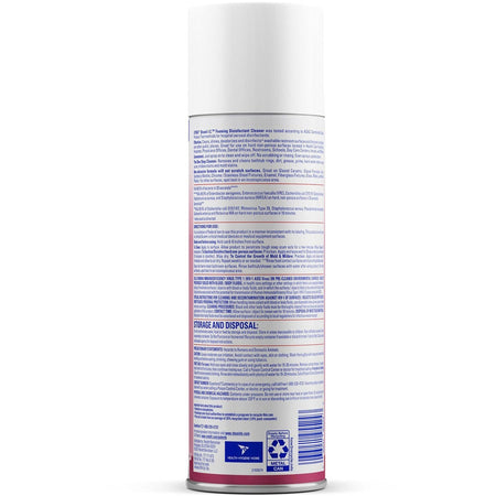 Lysol I.C. Foam Disinfectant - Rear