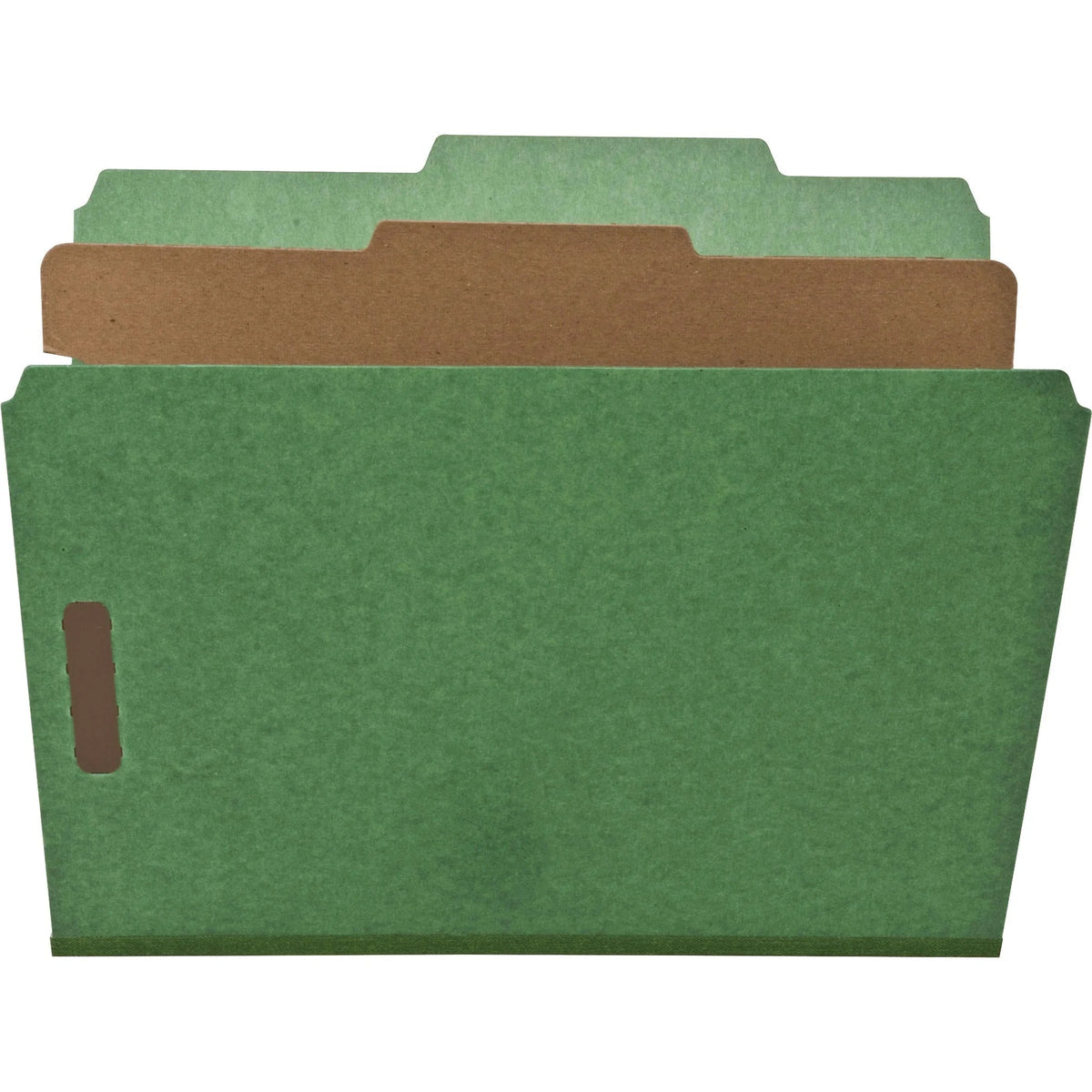 Nature Saver Recycled Classification Folders - Green - 10/Box