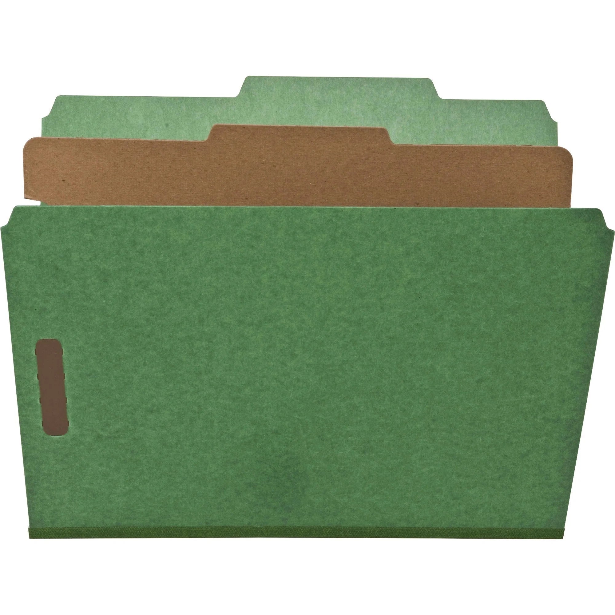 Nature Saver Recycled Classification Folders - Green - 10/Box
