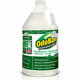 OdoBan Eucalyptus Deodorizer Disinfectant Concentrate - 128 fl oz - Residue-free - Green - 4/Carton - Disinfectants