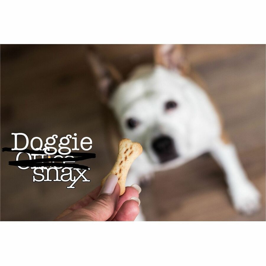 Office Snax Doggie Snax Biscuits - Alternate-Image1