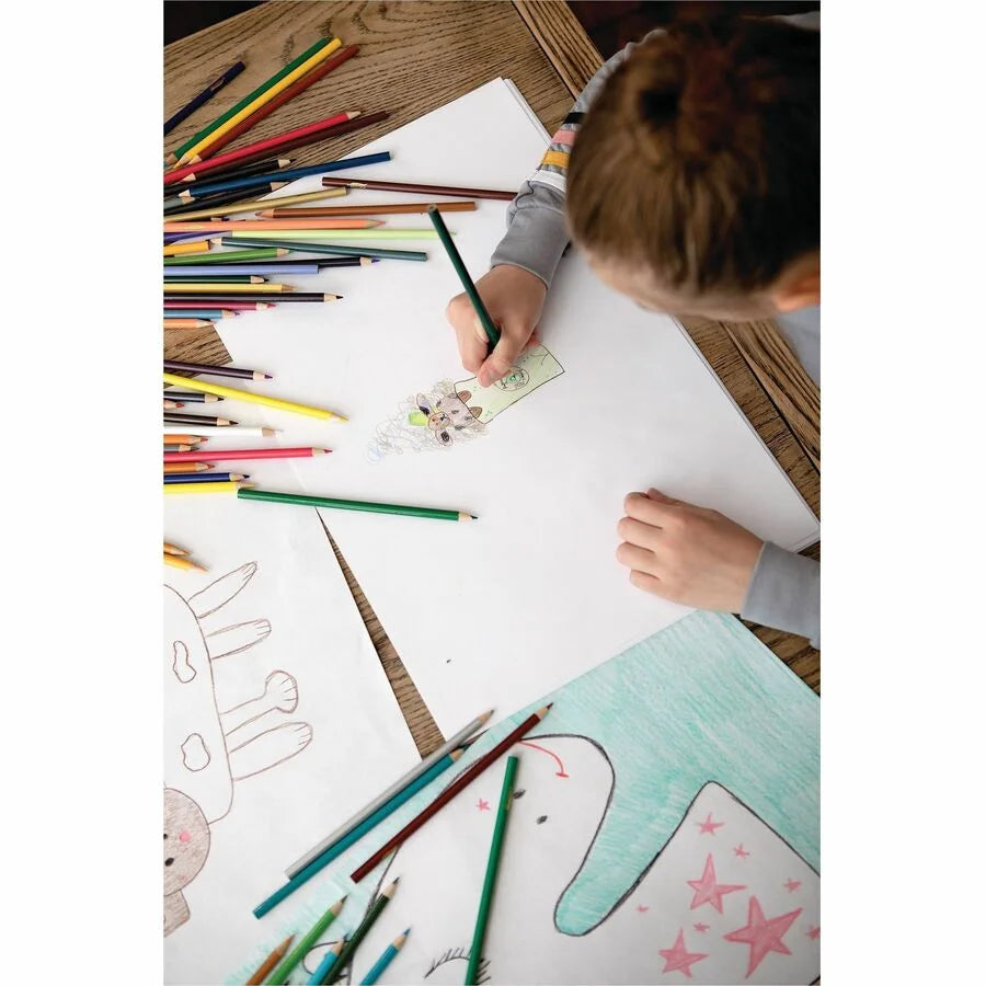 Pacon® Drawing Paper: Standard-Weight 12’’ x 18’’ 500 Sheets - Paper & Sketch Pads