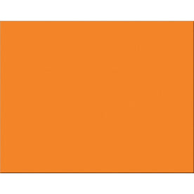 Pacon Railroad Board: Orange 28x22x1 - 25/Carton - Project Boards