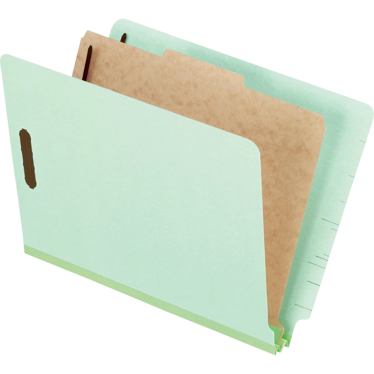 Pendaflex Letter Recycled Classification Folder - 2000