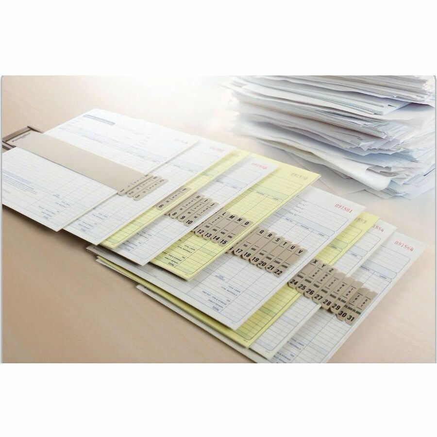 Pendaflex Plastic Sort-All Sorter - 2.50’’ Width x 23.25’’ Length - Non-skid Base - Gray - 1 Each - Filing Accessories