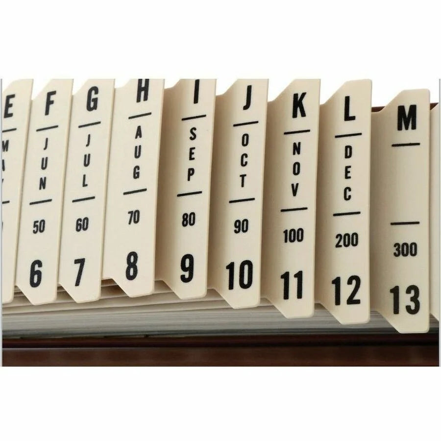 Pendaflex Plastic Sort-All Sorter - Efficient Desk Organizer - Filing Accessories