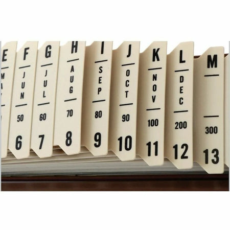 Pendaflex Plastic Sort-All Sorter - Efficient Desk Organizer - Filing Accessories