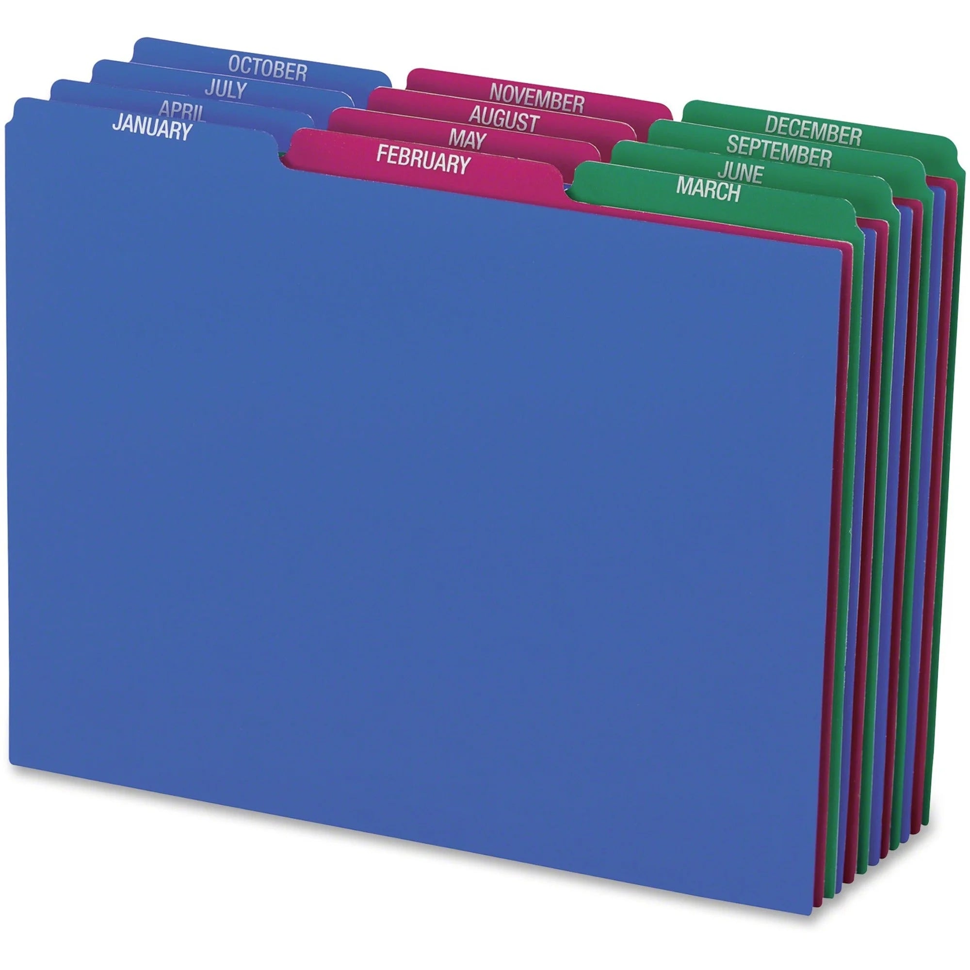Pendaflex Poly File Guide Sets: January-December Tabs - Letter Size - 12/Set - Filing Guides