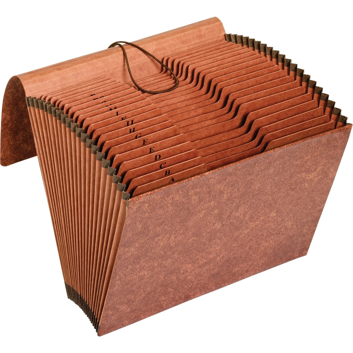 Pendaflex Recycled Expanding File - 21 Pocket Letter Organizer - Files