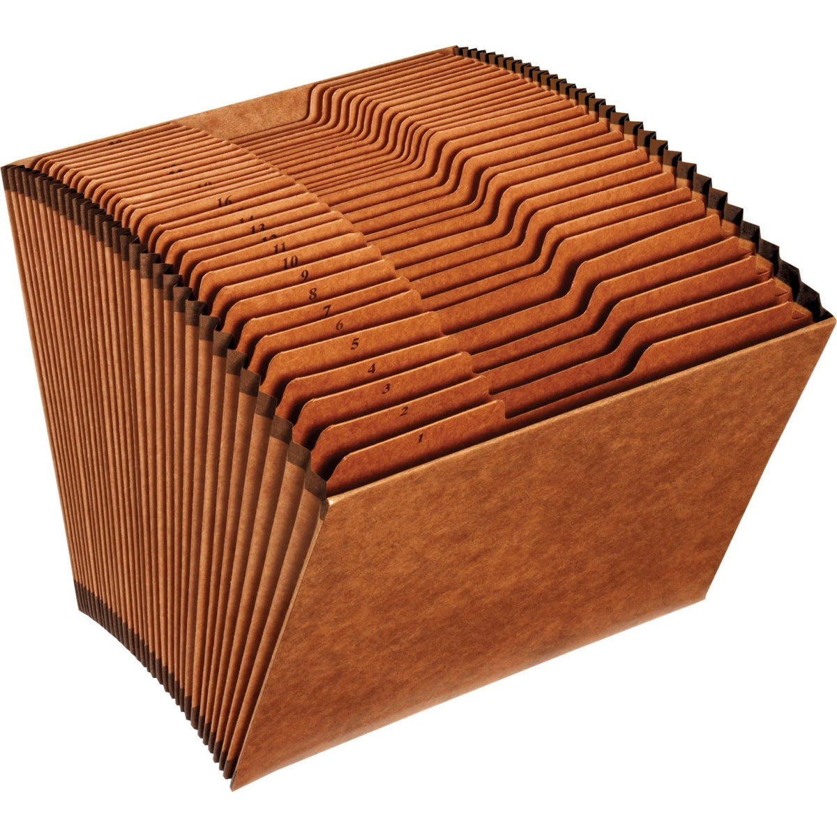Pendaflex Recycled Expanding File - 31 Pocket Letter Organizer - Files