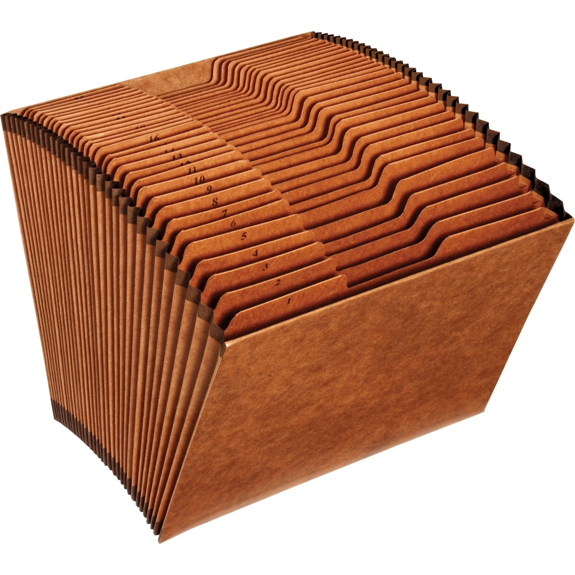 Pendaflex Recycled Expanding File - 31 Pocket Letter Organizer - Files