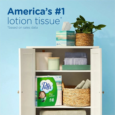 Puffs Basic Facial Tissue: GreenBox - Convenient Carton Pack - Tissues