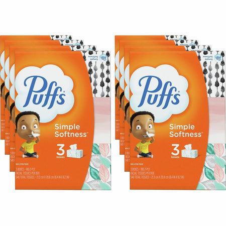 Puffs Basic Facial Tissues - 2 Ply - AssortedBox - 180/Box - 24 / Carton