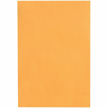 Quality Park 10 x 15 Heavy-Duty Clasp Envelope - Front
