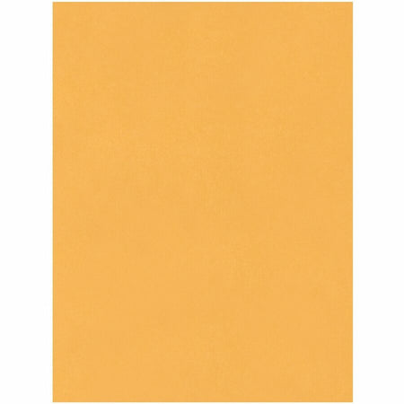 Quality Park 15 x 20 Jumbo Catalog Envelopes - Ungummed - Front