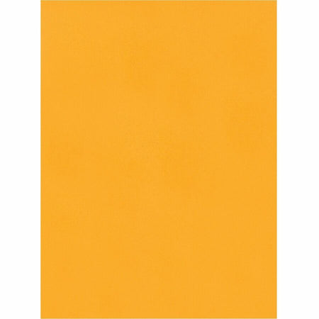 Quality Park 9 x 12 Hi Bulk Catalog Envelopes with Self-Seal Closure - Front