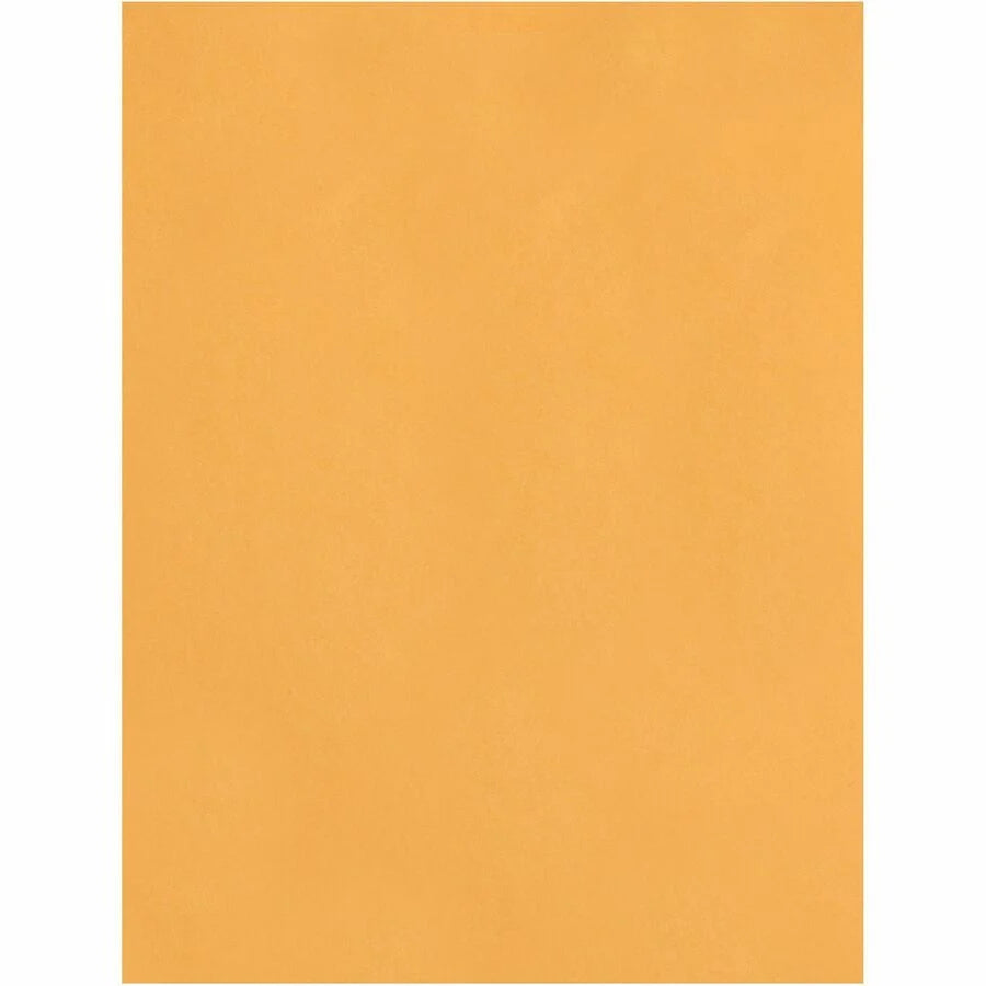 Quality Park Catalog Mailing Envelopes - Heavyweight 28 lb - Brown Kraft - 250/Box - Large Format
