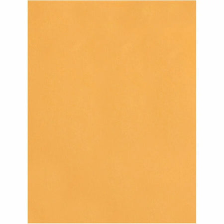Quality Park Catalog Mailing Envelopes - Heavyweight 28 lb - Brown Kraft - 250/Box - Large Format