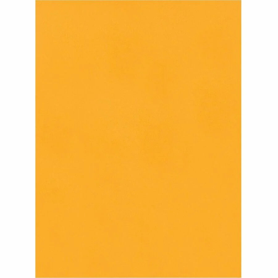 Quality Park Catalog Mailing Envelopes: Redi-Seal Self-Seal Closure 9x12 28 lb Kraft - 250/Box - Large Format