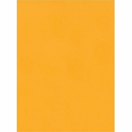 Quality Park Catalog Mailing Envelopes: Redi-Seal Self-Seal Closure 9x12 28 lb Kraft - 250/Box - Large Format