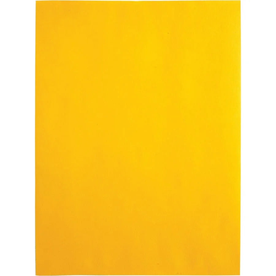 Quality Park Catalog Mailing Envelopes - Redi-Strip Self Seal - 9x12 - 250/Carton - Large Format