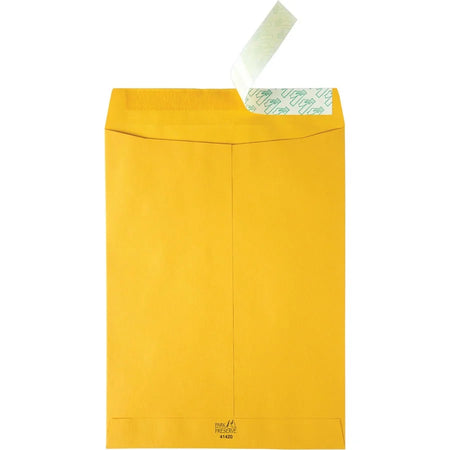Quality Park Catalog Mailing Envelopes - Redi-Strip Self Seal - 9x12 - 250/Carton - Large Format
