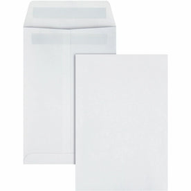 Quality Park Catalog Mailing Envelopes with Redi-Seal Closure - 6x9 - White Wove - 100/Box - Large Format