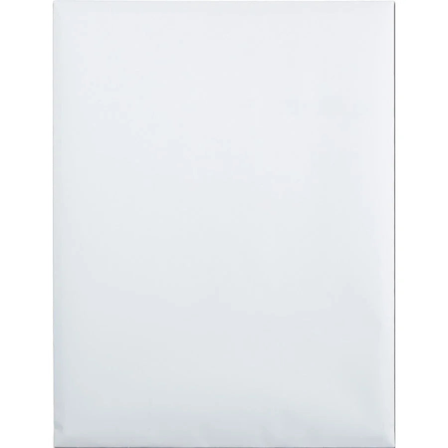 Quality Park Catalog Mailing Envelopes with Redi-Seal Closure - Self-Sealing - 9x12 - 100/Box - Large Format