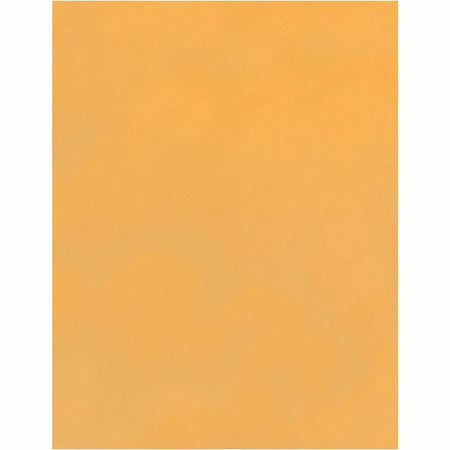 Quality Park Clasp Envelope 12x15.5 - #110 - 28lb - Kraft - 100/Box - Envelopes