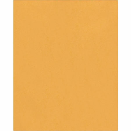 Quality Park Clasp Envelopes with Gummed Flap - Front