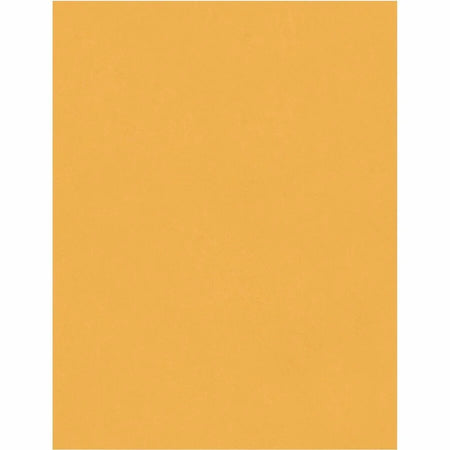 Quality Park Extra Heavy-duty Clasp Envelopes - 8.75’’ x 11.5’’ - 32 lb - Kraft - 100/Box