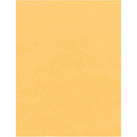 Quality Park Self-Seal Kraft Catalog Envelopes #5-1/2 12x15.5 - 100/Box - Large Format