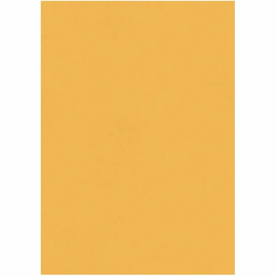 Quality Park Self-Seal Kraft Catalog Envelopes - #6 Size - 250/Box - Large Format