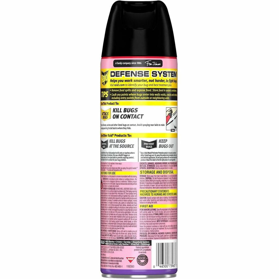 Raid Ant & Roach Killer Spray - Rear