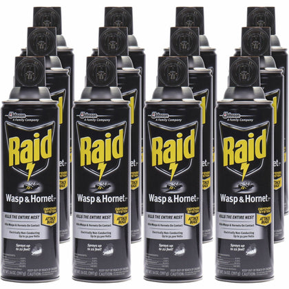 Raid Wasp and Hornet Killer 33 Spray - 14 fl oz - White - 12/Carton - Pesticides
